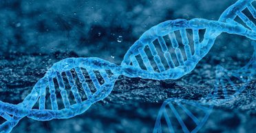 Синтетическая форма жизни грозит вымиранием человечеству: ее создадут в ближайшие 10 лет