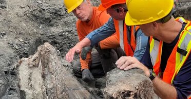 "Невероятная находка": в США во время строительства дороги нашли корабль XIX века (фото)