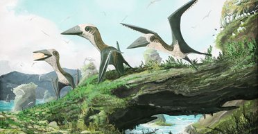 Крокодилий аппетит. Палеонтологи выяснили, чем питались молодые птерозавры