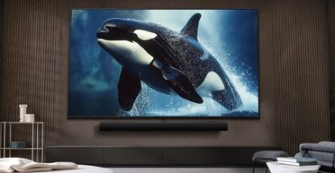 Качественный и недорогой телевизор LG: какая модель до 15 000 грн популярна в Украине (фото)