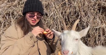 "На работу еду 200 км": украинская семья выбралась из города в сельский дом за $4 тысячи (фото)