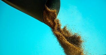 Удар по валютной выручке: какое влияние окажет на агросектор блокировка портов