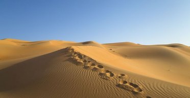 Найбільше "піщане море" у світі: на місці пустелі існувало глибоке озеро (фото)