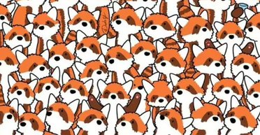 Тест на ідеальний зір: лише одиниці здатні помітити 3 лисиці в натовпі червоних панд