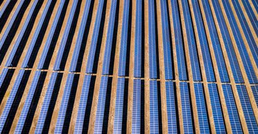 Жители села выступили против строительства "гигантской" солнечной станции: что их возмущает