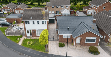 Наполовину спиляне після сварки дерево стало туристичною пам'яткою (фото)