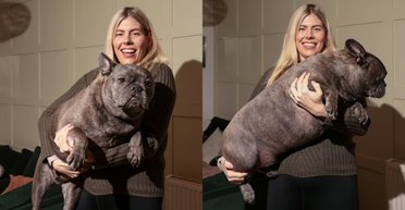 Йде на рекорд: жінка показала французького бульдога, який не перестає рости (фото)