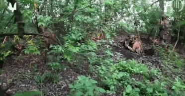 "Нуль вцілілих росіян": в ССО показали, як повернули контроль над позиціями на Донеччині (відео)