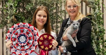 На виставці показали "найкрасивішого в світі" кота: в чому особливість його породи (фото)