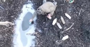 Россияне умирают от тифа и холеры на Херсонщине из-за недостатка питьевой воды, — Bild (фото)