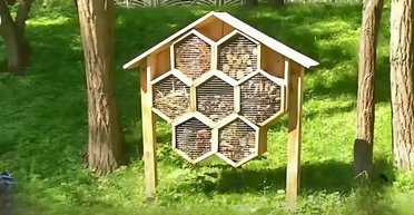 В Киеве появился отель для насекомых из соломы и шишек: какая из них польза (видео)