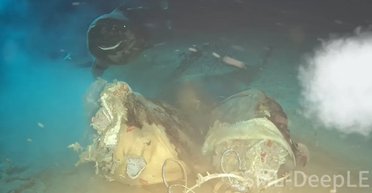 Тушу корови скинули у море і ненавмисно прикликали "сплячих монстрів": про них мало що відомо (відео)