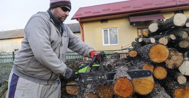 Як визначити якість дров за допомогою рідини для миття посуду (відео)