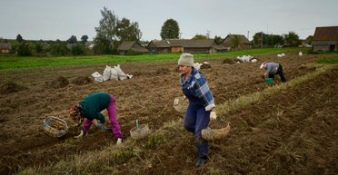 Дело добровольное. Как государство хочет легализовать работу семейных ферм