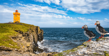 Рай для интровертов: арктический остров является домом для 20 человек и миллиона птиц (фото)