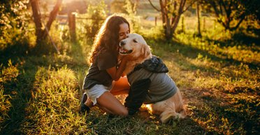 Какую собаку завести: крупные пушистые породы, которые идеально подходят для объятий