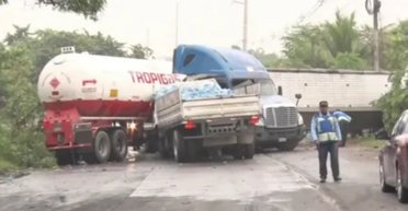 "Біблійна чума": нашестя жаб призвело до масштабних ДТП (фото)