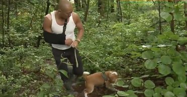 Крошечный бигль спас монаха от нападения медведя во время пробежки (видео)