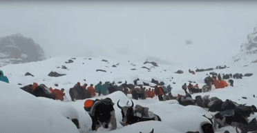 Буря на Евересті: туристка розповіла, як вибиралася зі снігової пастки за допомогою каструлі