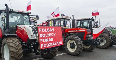 Остановка пассажирских автобусов на границе в Польше: к протестующим выехал консул Украины (фото)