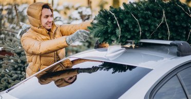 Не потерять по дороге и не заплатить штраф: как легко перевезти елку в автомобиле