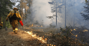 Теорії змови: чоловік, який звинувачував уряд у пожежах, зізнався в 14 підпалах