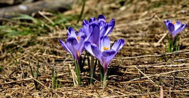 До +26 градусов: синоптик назвала день, когда Украина будет одной из самых теплых стран Европы