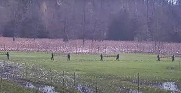 Бежали с лестницами, гвоздями и досками: в Польше отбили "штурм" мигрантов с территории Беларуси (видео)