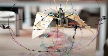 Ученые создали уникальный дрон с крыльями летучей мыши: чем он лучше других БПЛА (видео)