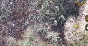 Украина взяла в плен двух солдат КНДР: подробности операции от The Washington Post