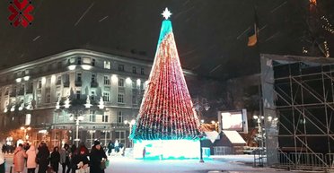 В Ивано-Франковске установят рождественскую елку: почему возмутились люди и что ответил мэр