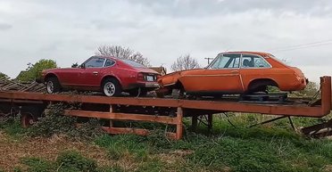 Раритеты на огороде: в британской деревне нашли заброшенную коллекцию ретроавто (видео)