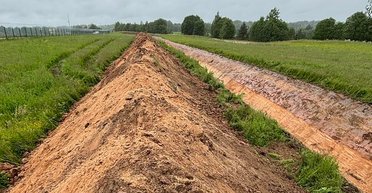 Естонія зводить оборонну лінію на 100 км та розглядає блокування кордону з РФ, — ЗМІ