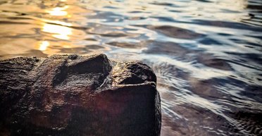 З озера в Польщі дістали середньовічну балку: у неї було стародавнє обличчя (відео)