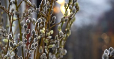 Благовіщення і Великий піст: церковний календар на березень 2025 року