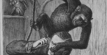 Странные стуки: мифическая "обезьяна-ведьма" перепугала местных жителей (фото)