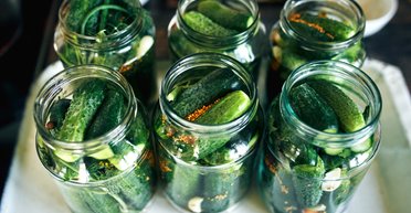 Получаются хрустящими и вкусными: рецепт маринованных огурцов с горчицей