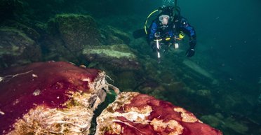 Замедление вращения Земли привело к появлению кислорода, - ученые