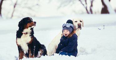 После сильных морозов в Украине существенно потеплеет: прогноз погоды (карта)