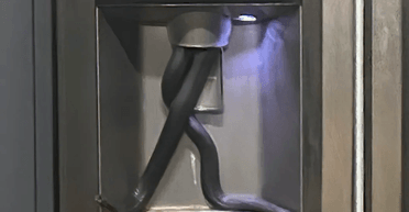 "Слизька істота": змія виповзла з автомата для льоду в холодильнику (відео)