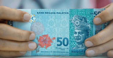 Збирала роками: терміти з'їли заначку жінки похилого віку на "чорний день" (фото)