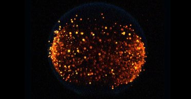 NASA решило впервые устроить пожар на Луне: огонь там ведет себя иначе (видео)