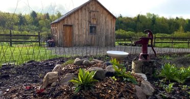 Навички виживання: сім'я виїхала з міста і почала все з нуля на фермі в сільській місцевості