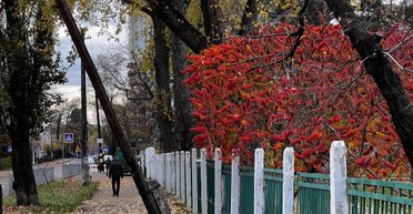 Первые серьезные признаки осени: синоптик озвучила прогноз погоды на выходные