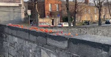 Містяни не можуть зрозуміти, навіщо хтось постійно залишає помідори на мосту (фото)