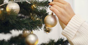 Новогодние елки кишат тысячами насекомых: ученые рассказали, как от них избавиться