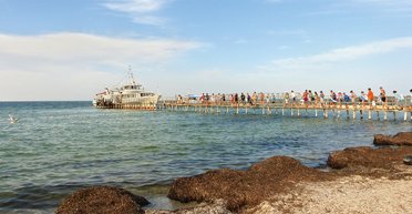 Зверский остров. Где человек лицом к лицу встречается с дикой природой