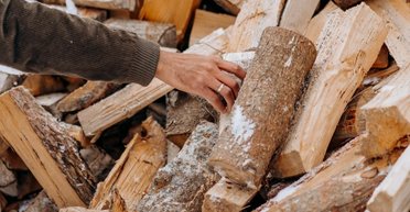 Не только за хранение: в Раде объяснили, когда человека привлекут к ответственности за дрова