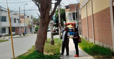 Службы в Перу искали вора, который ограбил дома: выяснилось, что виновато животное (фото)