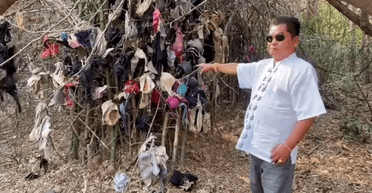 "Дерево мастурбации": мужчина украл и использовал более полусотни нижнего белья в Таиланде